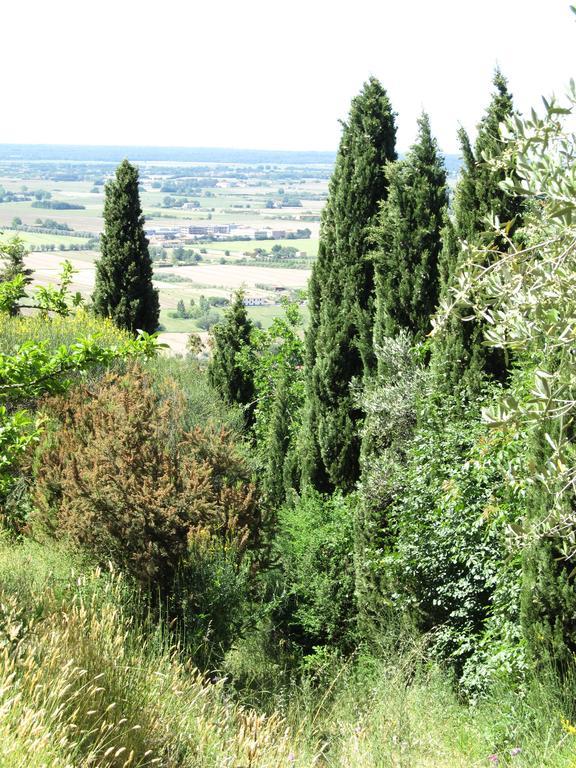 Agriturismo La Grotta San Giuliano Terme Luaran gambar